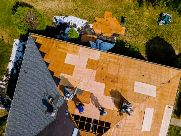 Best Best Roofing Contractors  in Leonard, TX