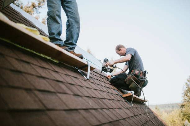 Best Roof Maintenance Services  in Leonard, TX