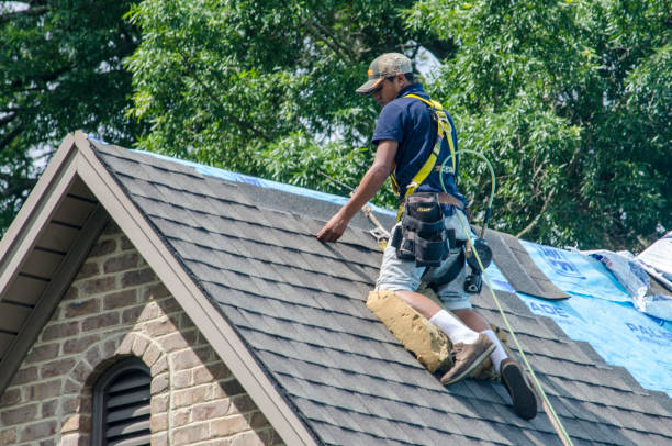 Best Roof Repair Services  in Leonard, TX